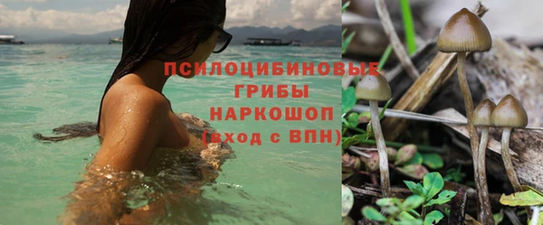 гидропоника Балахна